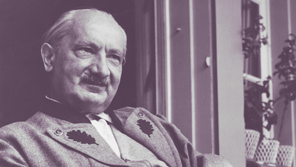 Product image for Heidegger's Black Notebooks