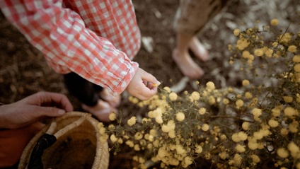 Product image for We Are Nature Network Curriculum
