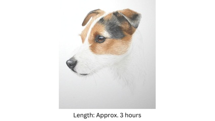Product image for Terrier Dog in Watercolor