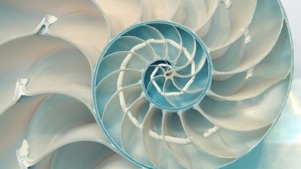 Product image for Elettrodinamica quantistica nella materia vivente 