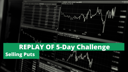 Product image for Replay of 5-Day Challenge: Cashflowing The Stock Market