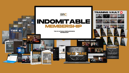 Product image for INDOMITABLE 2.0
