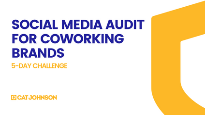Product image for Social Media Audit: 5-Day Challenge