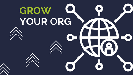 Product image for The Nonprofit Masterclass