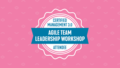 Product image for Agile Team Leadership Workshop
