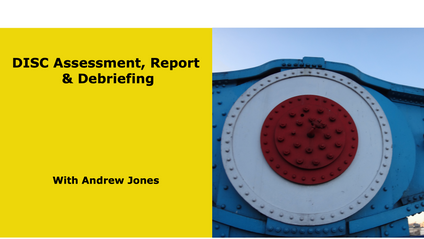 Product image for DISC Assessment, Report & Debriefing
