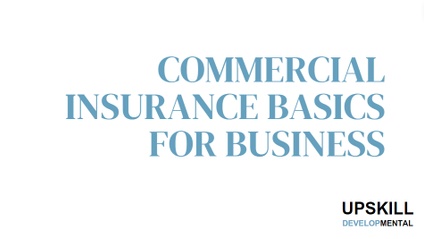 Product image for Commercial Insurance Basics for Business