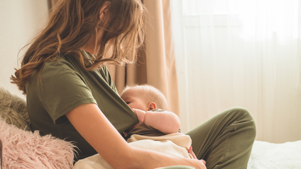 Product image for Part Two: Empowering Dietitians to Promote Maternal & Child Health Through Lactation Support 