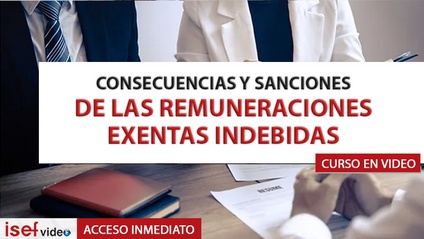 Product image for CONSECUENCIAS Y SANCIONES DE LAS REMUNERACIONES EXENTAS INDEBIDAS