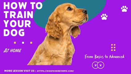 Product image for SmartPup Academy: Train, Bond, Transform