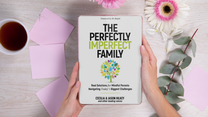 Product image for Chapter: 10 Seconds to Transform Meltdowns