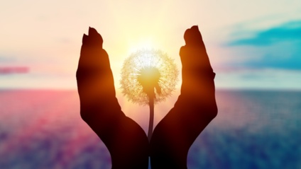 Product image for The Intuitive Practitioners Mentorship - 3, 6 & 12 months