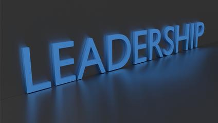 Product image for LEADERSHIP THEORIES