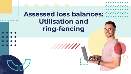 Product image for Assessed loss balances: Utilisation and ring-fencing