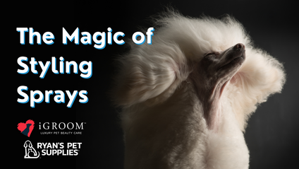 Product image for The Magic of Styling Sprays - Featuring iGroom