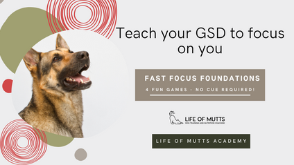 Product image for Fast Focus Foundations