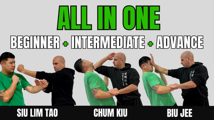 Product image for Bundle - Applied Wing Chun Course