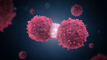 Product image for Cancer: A Metabolic Disease