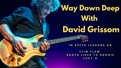 Product image for Way Down Deep with David Grissom