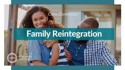 Product image for Family Reintegration