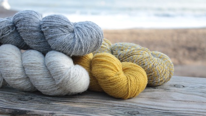 Product image for Blanket Club 2024