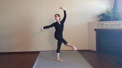 Product image for Adult Ballet Library