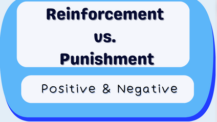 Product image for Reinforcement vs. Punishment
