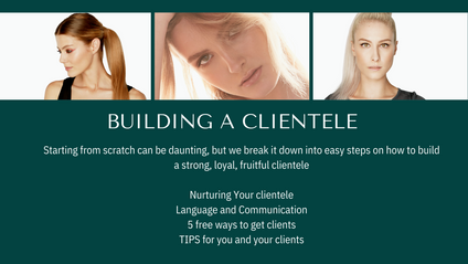 Product image for Building a Clientele