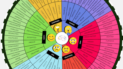 Product image for EQ Coaching