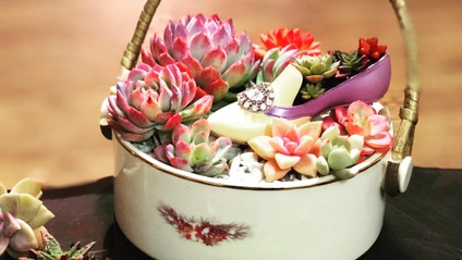 Product image for Growing Succulents With Clarity And Confidence — a beginner’s guide to successfully grow succulents