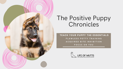 Product image for Positive Puppy Chronicles