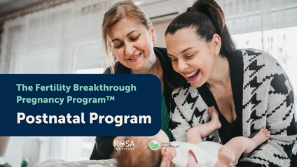 Product image for Fertility Breakthrough™ Postnatal Program 