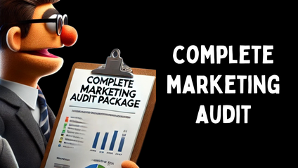 Product image for Complete Marketing Audit