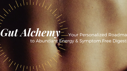 Product image for Gut Alchemy