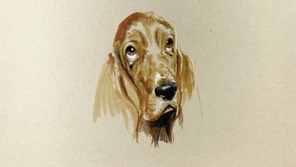 Product image for Genial Tiere zeichnen – dein persönlicher Zeichen-Coach