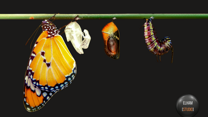 Product image for Shift Happens
