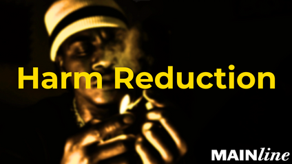 Product image for Harm Reduction