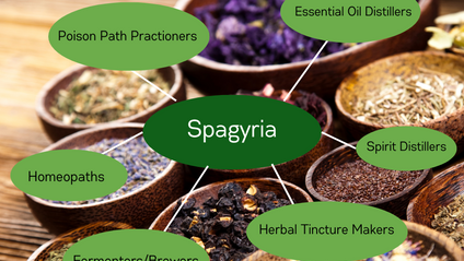 Product image for From Herbalism to Spagyria: A Thorough Overview of How To Make the Transition