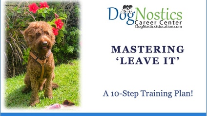 Product image for Mastering 'Leave It' - A 10-Step Training Plan!