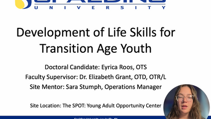 Product image for Development of Life Skills Intervention Program for Transition Age Youth