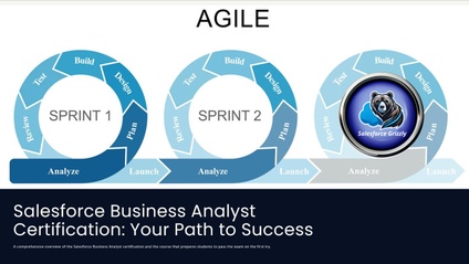 Product image for Business Analyst