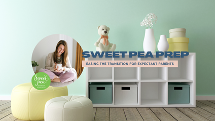 Product image for Private Birth Planning