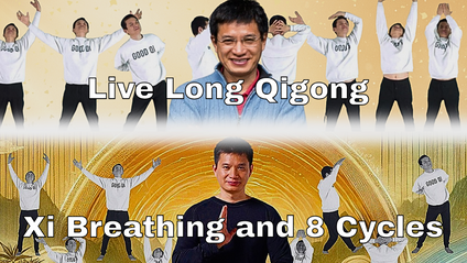 Product image for The Vital Harmony Qigong Bundle