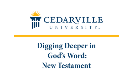 Product image for Digging Deeper in God's Word: New Testament