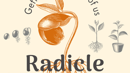 Product image for Radicle Methodism: Back to our Roots