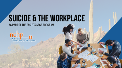 Product image for Suicide & The Workplace