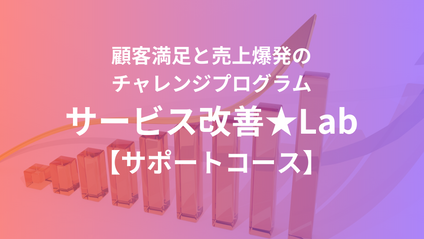 Product image for サービス改善★Lab　サポートコース