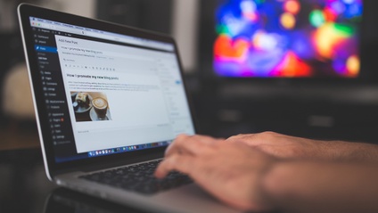 Product image for WordPress and Wonders of Web Development