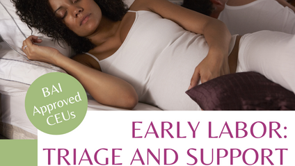 Product image for Advanced Doula Training: Early Labor Support and Triage