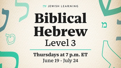 Product image for Biblical Hebrew Level 3